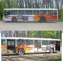 Реклама на транспорте. Размещение рекламы на Автобусах Ростова. Sadolin 09.2008