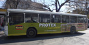 Реклама на транспорте. Размещение рекламы на Автобусах Ростова. Протекс 05.2009